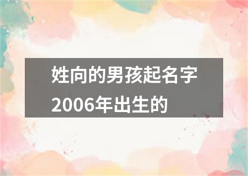 姓向的男孩起名字2006年出生的