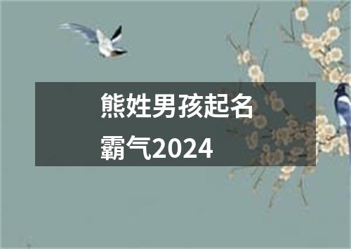 熊姓男孩起名霸气2024