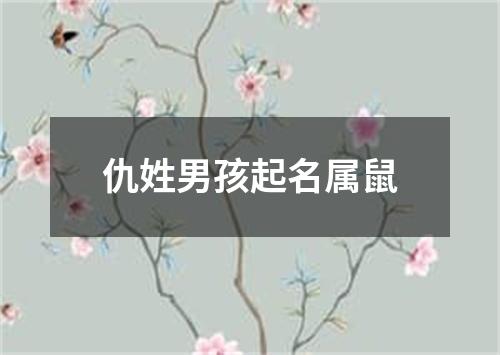 仇姓男孩起名属鼠