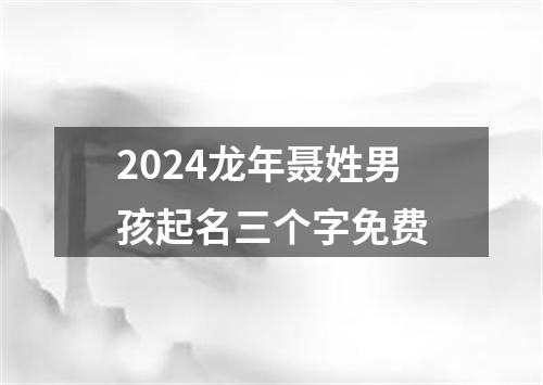 2024龙年聂姓男孩起名三个字免费