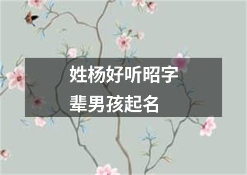 姓杨好听昭字辈男孩起名