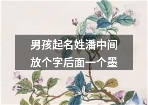 男孩起名姓潘中间放个字后面一个墨