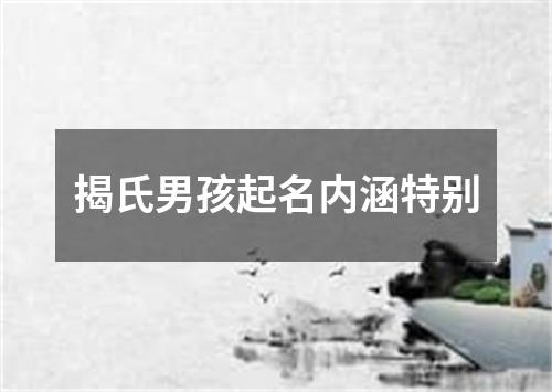 揭氏男孩起名内涵特别