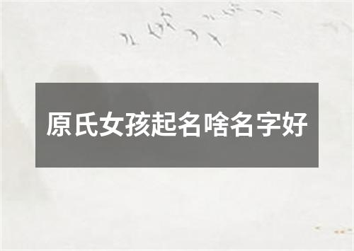 原氏女孩起名啥名字好