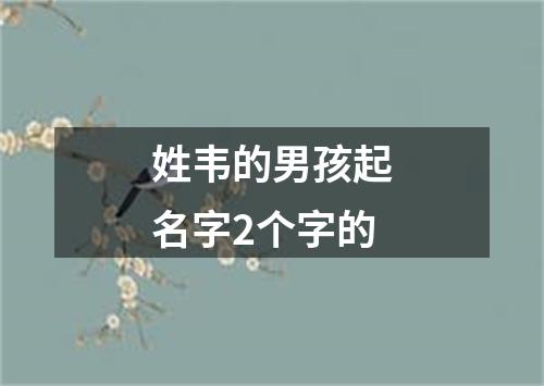 姓韦的男孩起名字2个字的