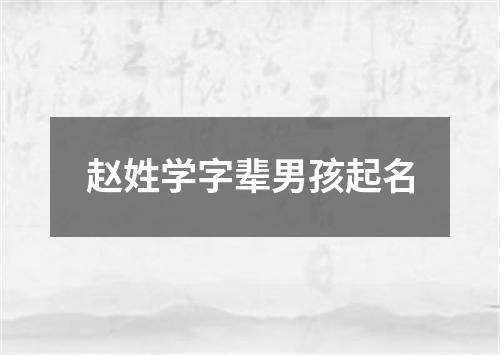 赵姓学字辈男孩起名