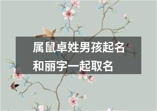 属鼠卓姓男孩起名和丽字一起取名