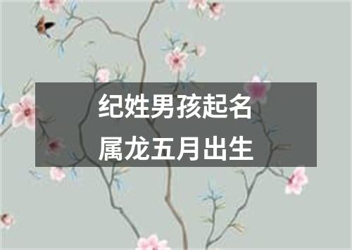 纪姓男孩起名属龙五月出生