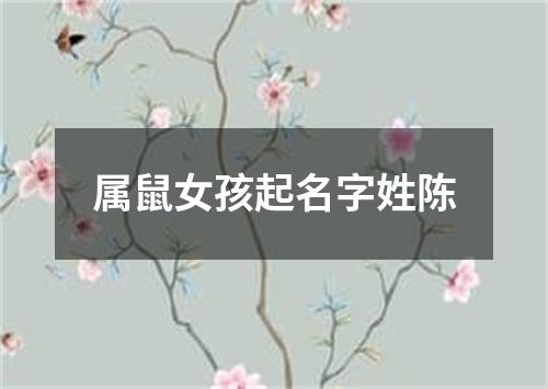 属鼠女孩起名字姓陈