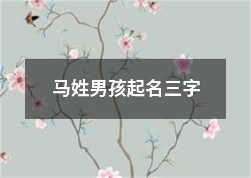 马姓男孩起名三字