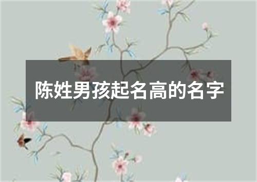 陈姓男孩起名高的名字