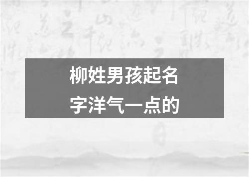 柳姓男孩起名字洋气一点的