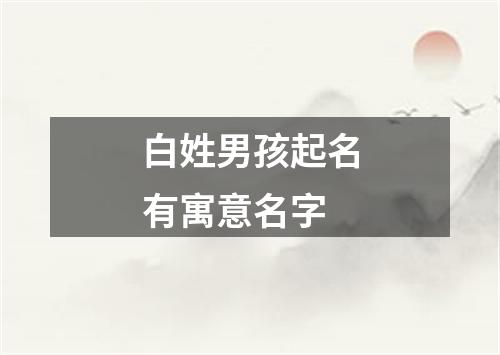 白姓男孩起名有寓意名字