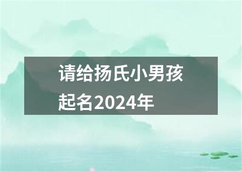 请给扬氏小男孩起名2024年