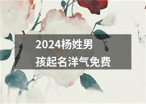 2024杨姓男孩起名洋气免费