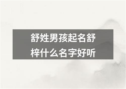 舒姓男孩起名舒梓什么名字好听