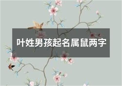 叶姓男孩起名属鼠两字