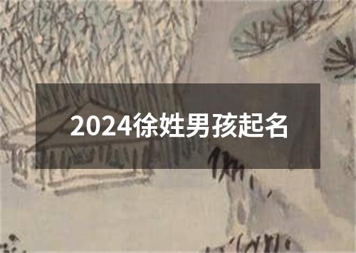 2024徐姓男孩起名