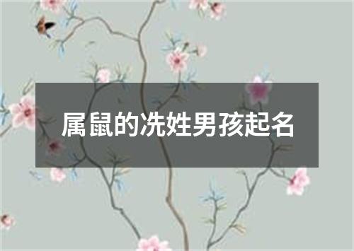 属鼠的冼姓男孩起名