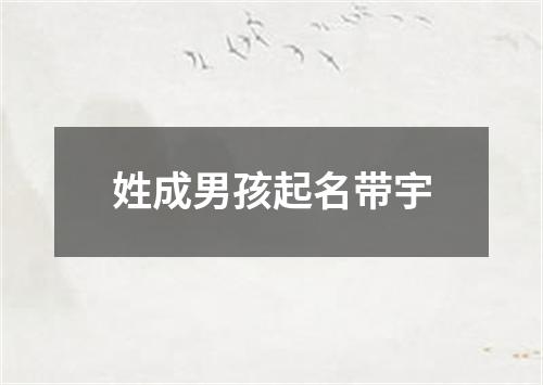 姓成男孩起名带宇