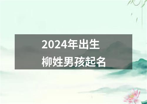 2024年出生柳姓男孩起名