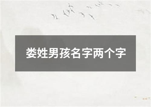 娄姓男孩名字两个字