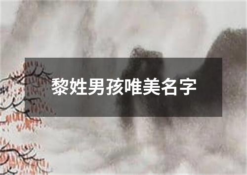 黎姓男孩唯美名字