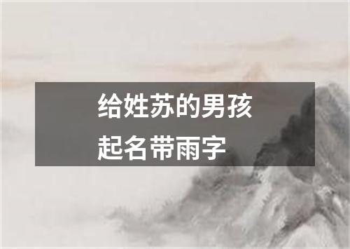 给姓苏的男孩起名带雨字