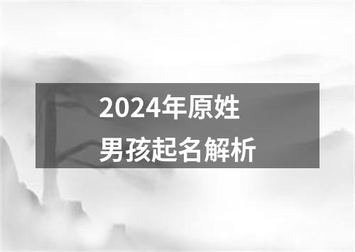 2024年原姓男孩起名解析