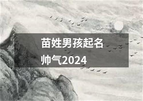 苗姓男孩起名帅气2024