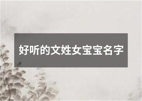 好听的文姓女宝宝名字