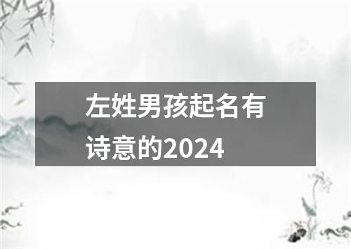 左姓男孩起名有诗意的2024