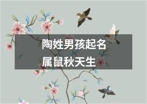 陶姓男孩起名属鼠秋天生