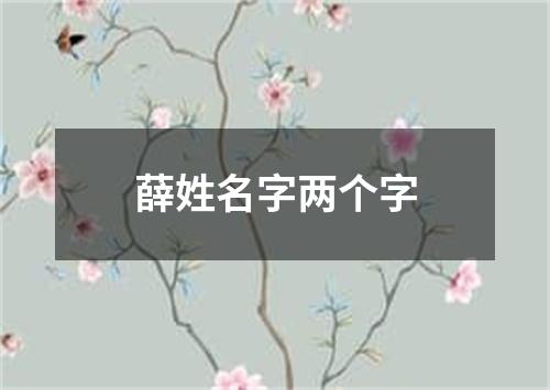 薛姓名字两个字