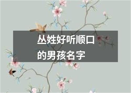 丛姓好听顺口的男孩名字