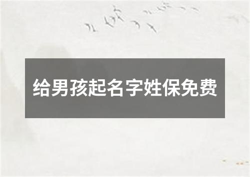 给男孩起名字姓保免费