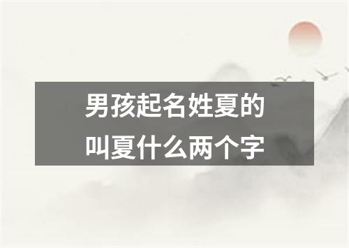 男孩起名姓夏的叫夏什么两个字