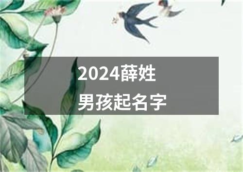 2024薛姓男孩起名字