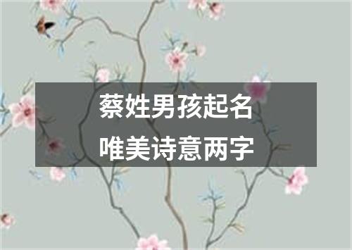 蔡姓男孩起名唯美诗意两字