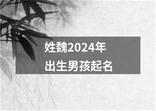 姓魏2024年出生男孩起名