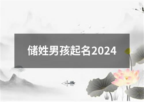 储姓男孩起名2024