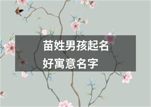 苗姓男孩起名好寓意名字