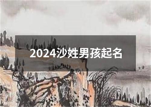 2024沙姓男孩起名