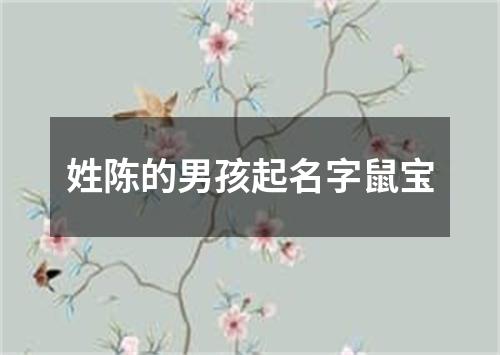 姓陈的男孩起名字鼠宝