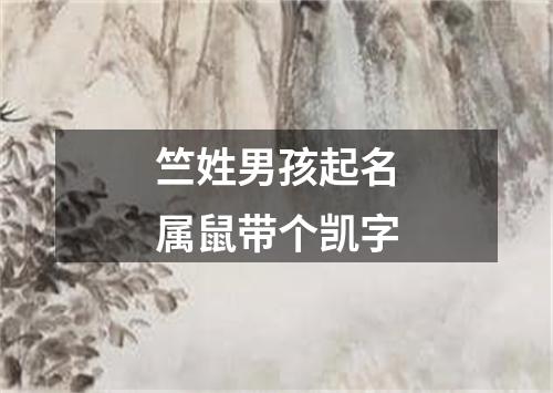 竺姓男孩起名属鼠带个凯字