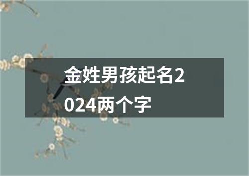 金姓男孩起名2024两个字