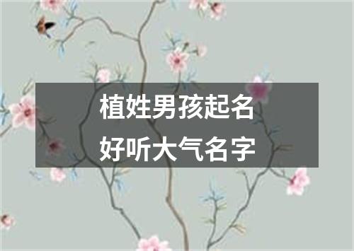 植姓男孩起名好听大气名字