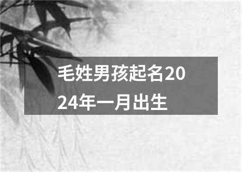 毛姓男孩起名2024年一月出生