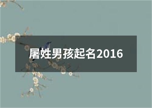 屠姓男孩起名2016