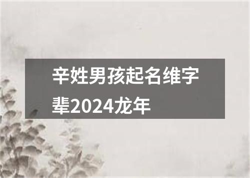 辛姓男孩起名维字辈2024龙年